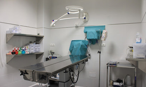 Clinica Veterinaria MadridRio