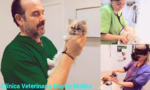 Clínica Veterinaria Martín Molina